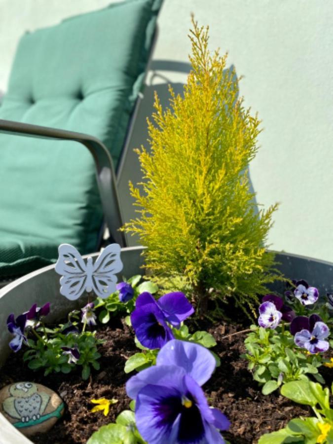 Apartmany U Rybnicka Pribraz Екстер'єр фото
